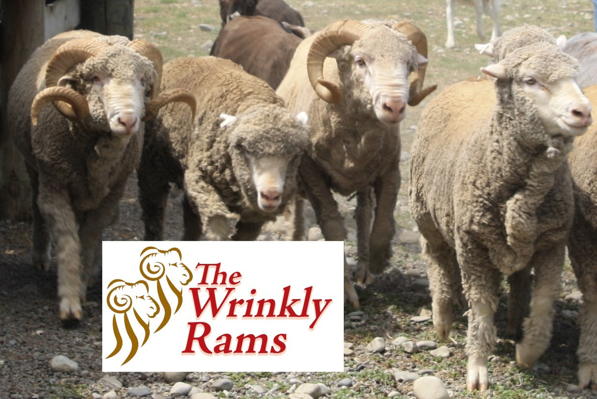 Meet the Rams Experience